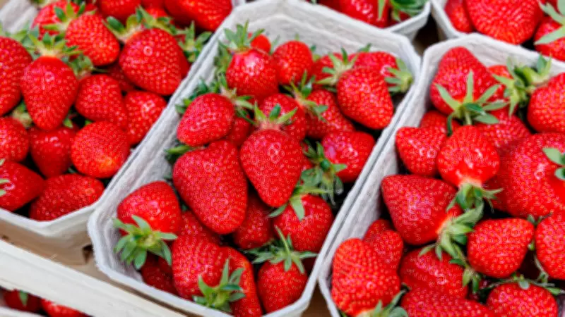 Truque Simples com Vinagre Mantém Morangos Frescos por Mais Tempo na Geladeira