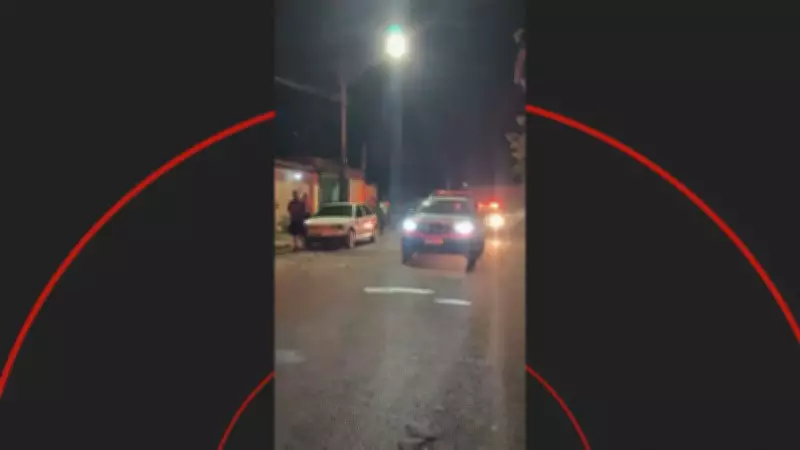 Tutor mata pitbull a facadas após cão atacar idoso em via pública de Aguaí (SP)