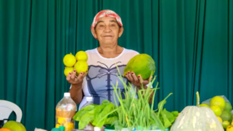 Ufopa promove Feira da Agricultura Familiar Solidária em Santarém