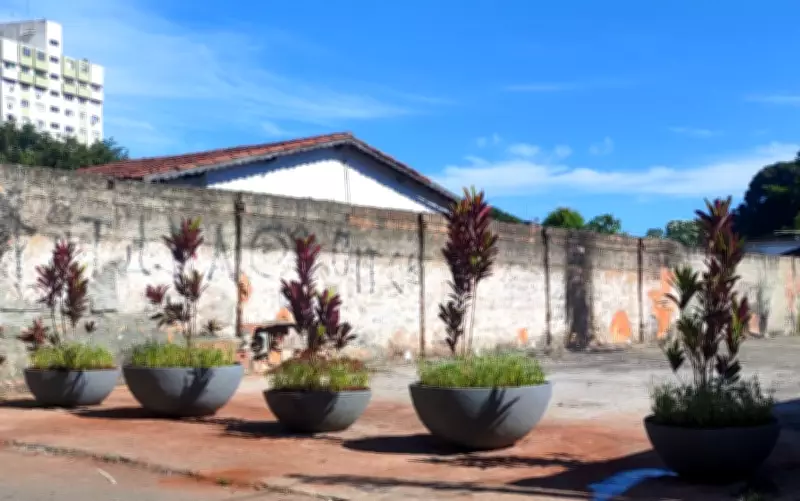 Vasos de plantas são instalados em local do acidente do Césio-137 para evitar estacionamento