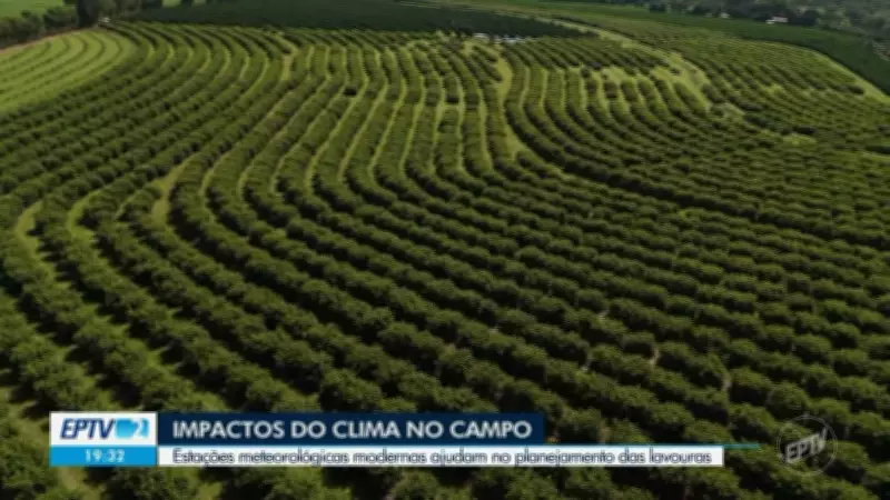 Vídeos da EPTV 2 Sul de Minas: destaques do dia 3 de abril de 2026