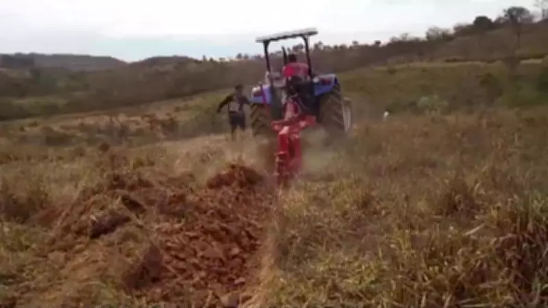 Vídeos da Inter TV Rural deste domingo, 26 de abril: destaques do campo
