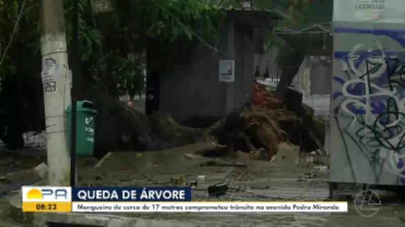 Vídeos do BDP de Segunda-feira, 20 de Abril: Confira as Principais Notícias do Pará