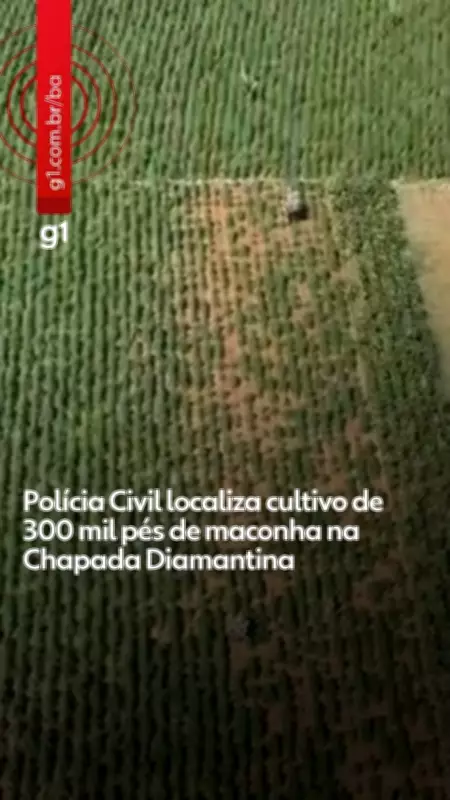 Vídeos do G1 e TV Bahia: Destaques de Quinta, 30 de Abril