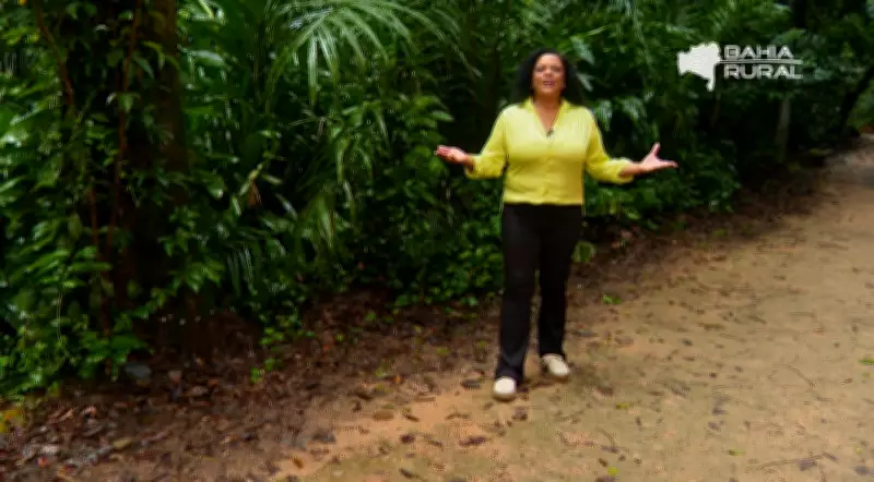 Vídeos do G1 e TV Bahia: Domingo, 26 de Abril de 2026