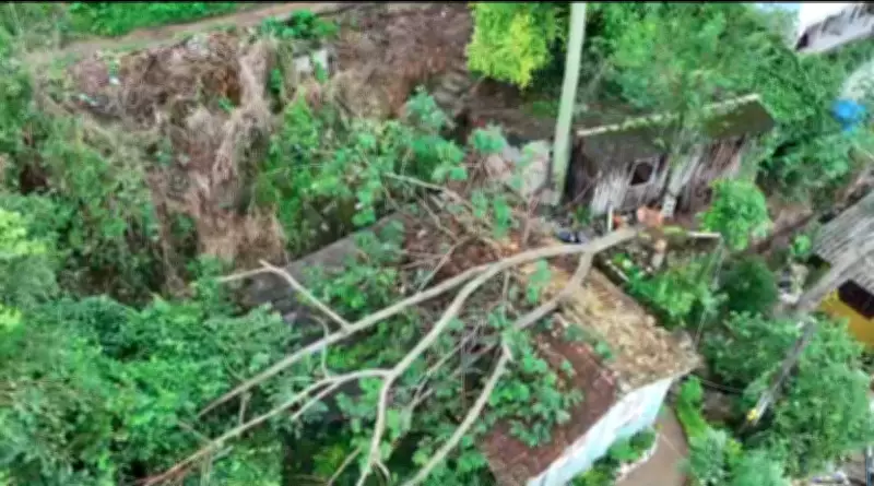 Ventos fortes derrubam árvore sobre casa em Florianópolis e causam estragos na cidade