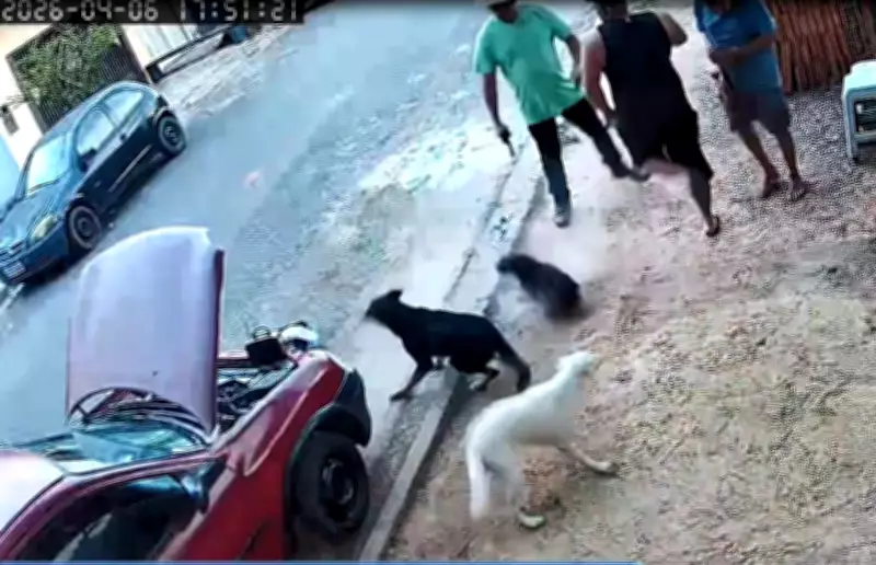 Vereador atira em cães durante operação e Câmara abre processo por quebra de decoro