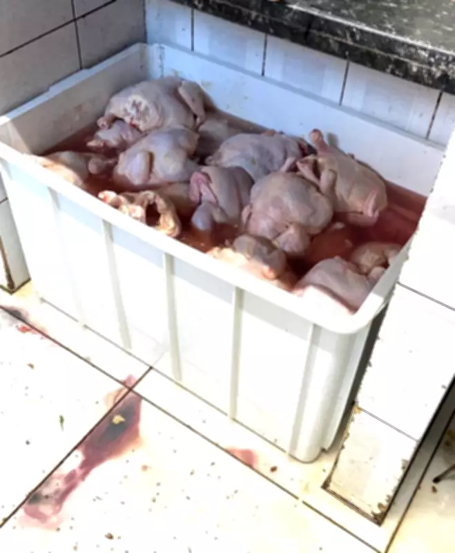 Vigilância Sanitária apreende mais de 500 kg de carne imprópria em Ituiutaba