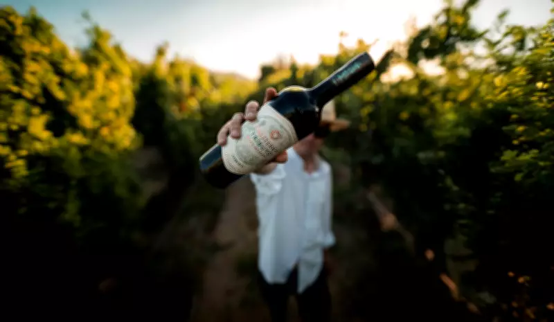 Vinhos Caros São Sempre Melhores? Estudo Revela Verdade Surpreendente