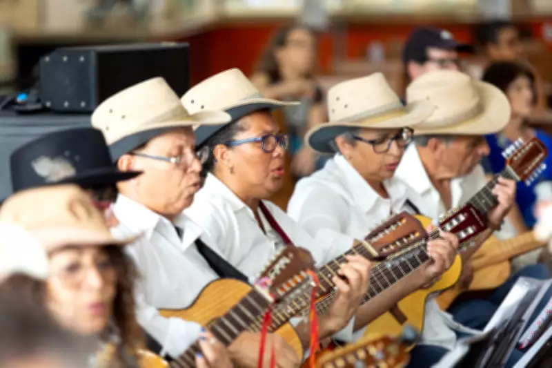 Viola caipira: do alaúde árabe ao símbolo da música sertaneja
