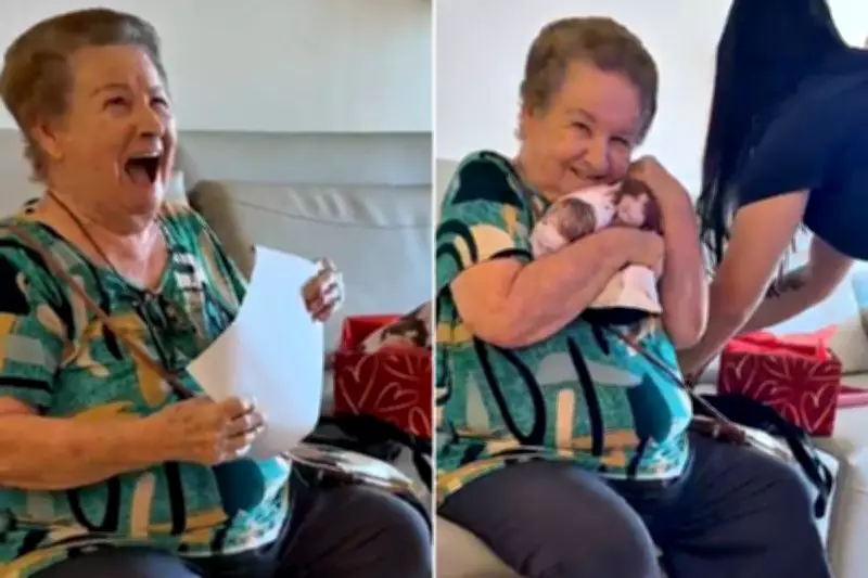 Vovó de 86 anos viraliza ao ganhar ingressos para show do BTS no Brasil