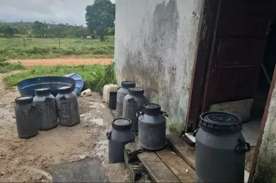 Adepará interdita três fábricas clandestinas de queijo no sudeste do Pará