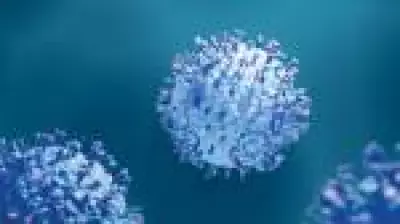 Anvisa amplia faixa etária da vacina contra vírus da bronquiolite para adultos acima de 18 anos