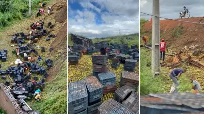 Caminhão tomba com laranjas no Piauí e população saqueia carga após acidente grave