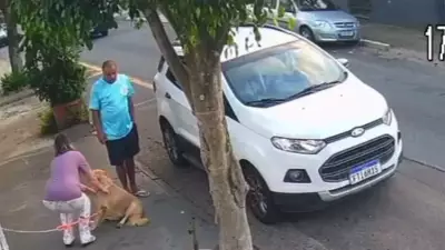 Casal abandona cachorro amarrado em clínica veterinária de São Caetano do Sul