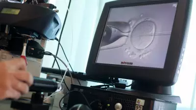 Casal processa clínica de fertilização após DNA revelar que filha não tem vínculo genético