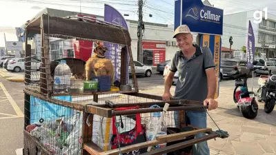 Catador do RS constrói carrinho para proteger cães do calor: 'Chão quente queima patinhas'