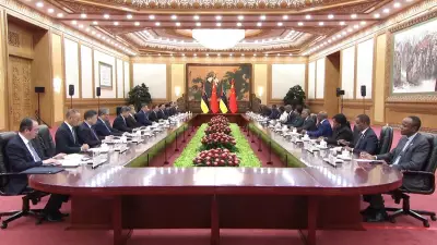 China se oferece para colaborar com nações africanas contra efeitos da guerra no Oriente Médio