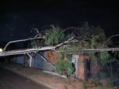Chuva intensa em Palmas derruba árvores, causa queda de energia e danifica shopping