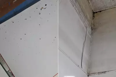 Denúncias apontam fezes de morcegos e falta de higiene em escola de Registro