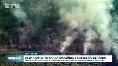 Desmatamento na Amazônia cai 7%, mas dispara 15% no Cerrado no primeiro trimestre