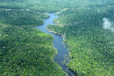 Desmatamento no Amazonas cai 30,1% no primeiro trimestre de 2026, diz Inpe