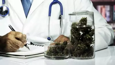 Estudo em camundongos indica que canabidiol pode reverter danos do Alzheimer no cérebro