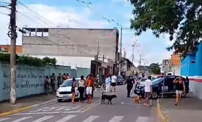Ex-aluno invade escola e esfaqueia professora em Suzano; ambos feridos levemente