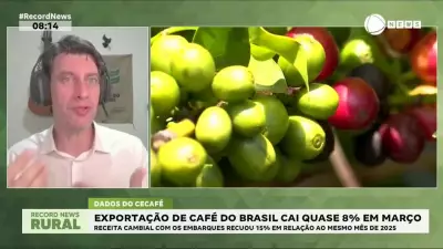 Exportações de café do Brasil caem quase 8% em março de 2026