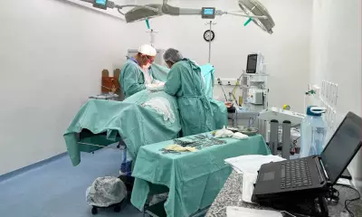 Feira de Santana divulga lista de 63 mulheres para nova etapa de cirurgias de gigantomastia