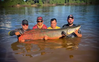 Guias de pesca capturam pirarucu gigante de mais de 2 metros no Rio Araguaia em Goiás