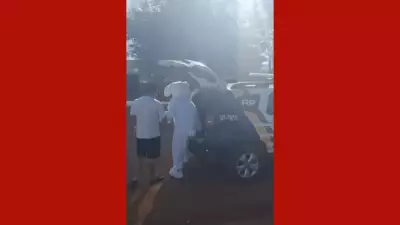 Homem preso e adolescente vestido de coelho apreendido em ação da PM em MT