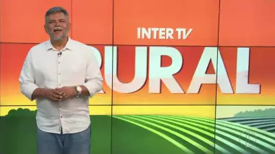Inter TV Rural: Destaques do Campo em Minas Gerais neste Domingo