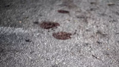 Jovem de 17 anos morta a tiros por recusar investidas de homem no Ceará