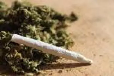 Louisiana endurece lei da maconha com prisão perto de escolas