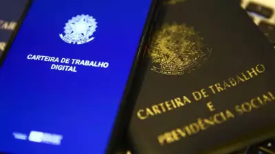 Mercado de Trabalho no Piauí: setores em destaque para 2026