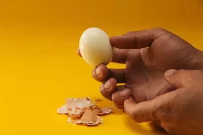 Pesquisa da USP alerta para perigos de intoxicação alimentar por erros domésticos no preparo de comida