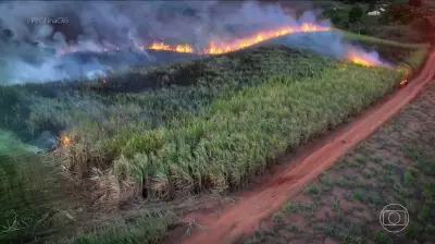 Pesquisador pernambucano cria biogel que combate incêndios e economiza 85% de água