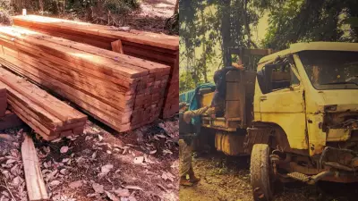 PF desmantela garimpo e extração ilegal de madeira em terra indígena no Pará