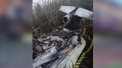 Piloto morre carbonizado após queda de avião monomotor em zona rural de Altair, SP