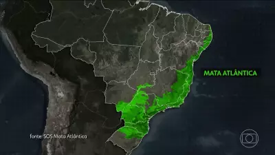 SOS Mata Atlântica celebra 40 anos com 44 milhões de árvores plantadas e restauração de nascentes