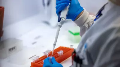 Variante BA.3.2 da Ômicron apresenta baixo risco à saúde pública, afirmam virologistas