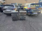 237 kg de maconha apreendidos em carro na BR-267 em Minas Gerais
