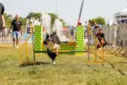 4ª edição do Festcão Suzano acontece neste domingo no Parque Max Feffer