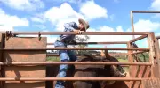 A preparação intensa dos peões de rodeio em Araxá para o Rodeio Show 2026