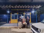 Adolescente furtou carro dos pais após proibição do celular e viajou 550 km para encontrar garota do Roblox