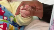 Advogada defende paternidade coercitiva igual à maternidade com nova licença