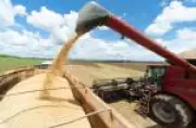 Agronegócio brasileiro enfrenta aperto financeiro com juros altos e queda de preços