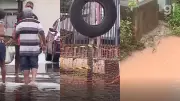 Alagamentos em Gapara e Coroado causam prejuízos e desespero aos moradores