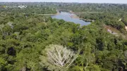 Amazonia Agro: Programa deste domingo destaca inovações no agronegócio amazônico